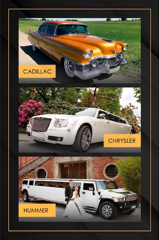 Kontaktbild GALAXY-LIMOS Kontaktbild GALAXY-LIMOS, Fahrzeuge & Kutschen Bodensee