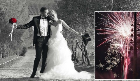 Frey Fireworks | Feuerwerk am Bodensee, Feuerwerk · Lasershow Eriskich, Kontaktbild
