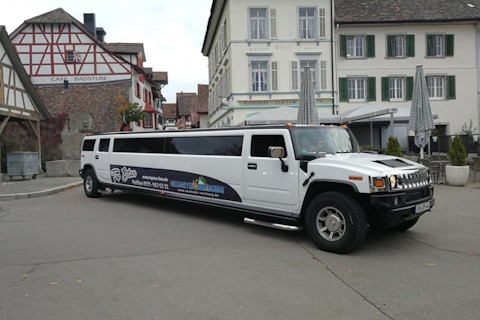 Topstar Limousinenservice, Hochzeitsauto · Kutsche Gaienhofen, Logo