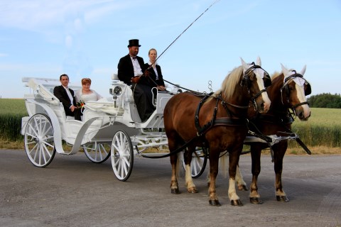 Kontaktbild Pferdefuhrbetrieb Kontaktbild Pferdefuhrbetrieb, Fahrzeuge & Kutschen Bodensee