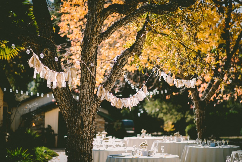 Hochzeitstafel unter Bäumen