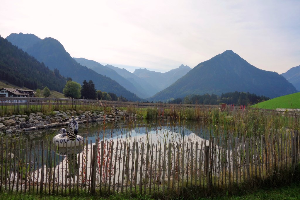 Kleiner Teich mit Blick auf die Allgäuer Alpen