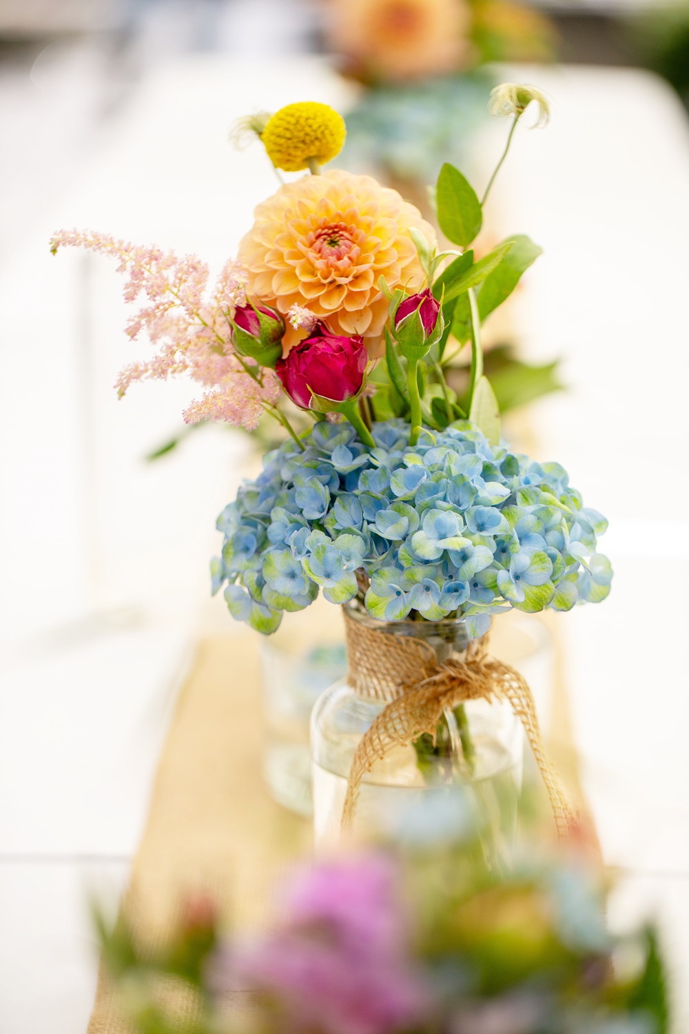Bunte Wiesenblumen Nahaufnahme